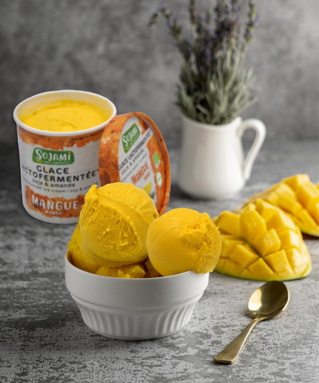 Compo_Glace_Mangue.jpg