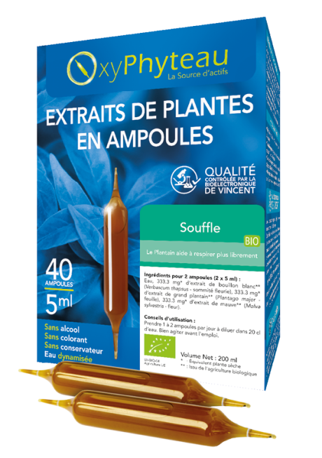 SOUFFLE.png