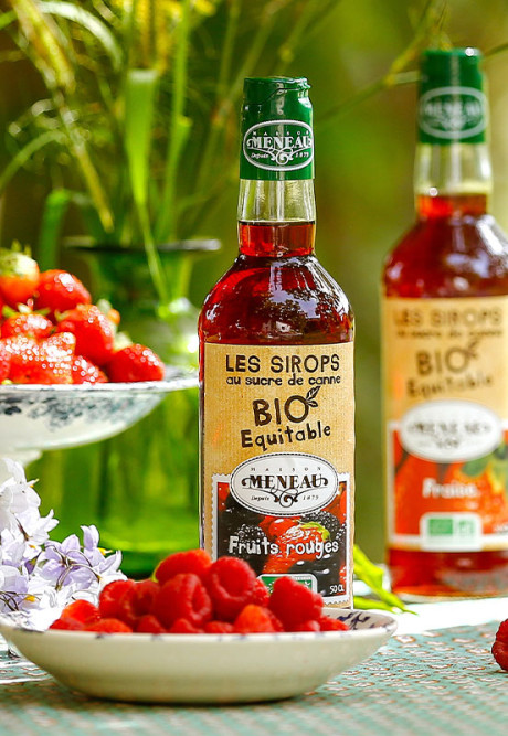 SIROP DE FRUITS ROUGES 50cl