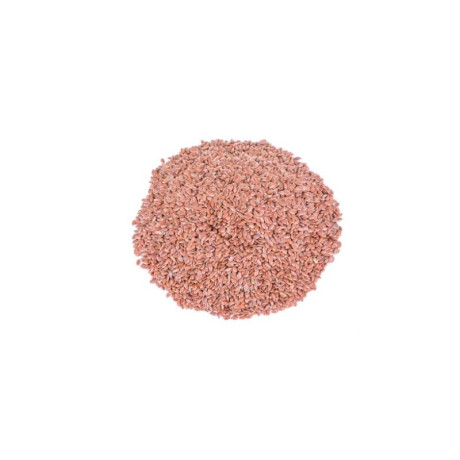 graine-de-lin-bio.jpg