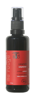 calophylle.png