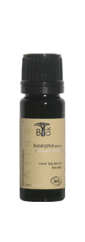 eucalyptus_globulus.png