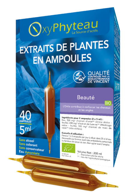 BEAUTE.png