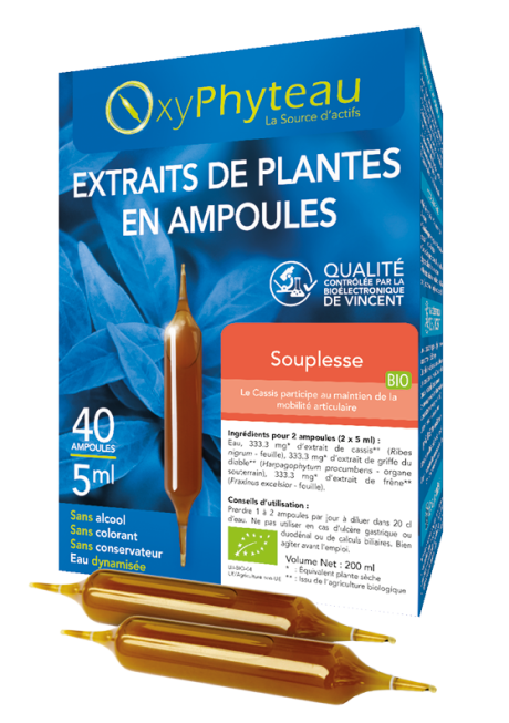 SOUPLESSE.png