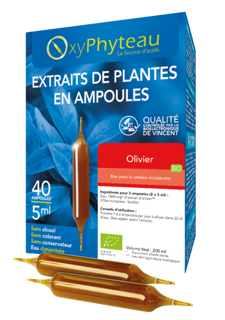 OLIVIER.png