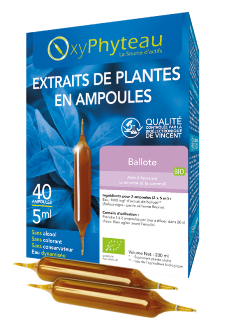BALLOTE.png