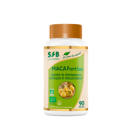 MACA FORT BIO.png