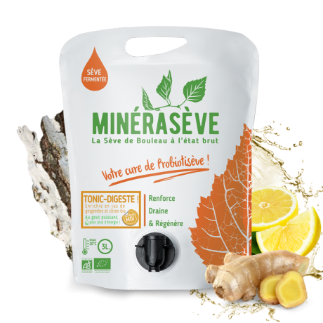 mineraseve3.png