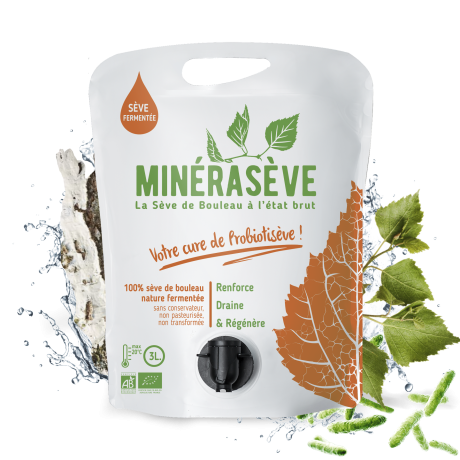 minerasève 2.png
