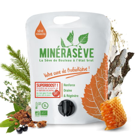 mineraseve4.png