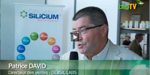 DEXSIL LABS