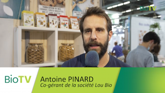 LOU-BIO.png