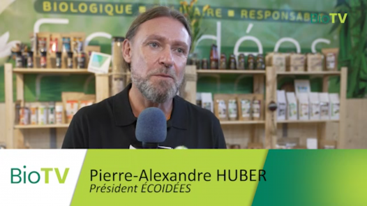 ECOIDEES.png