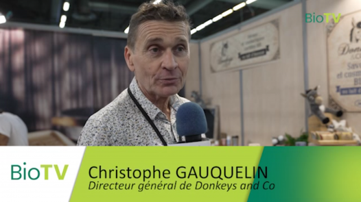 DONKEYS.png