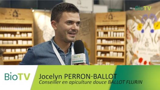 BALLOT.png