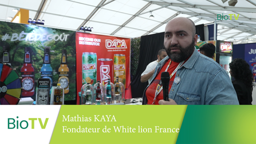 WHITE-LION.png